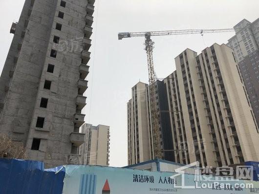 郑东尚庭实景图