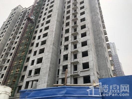 郑东尚庭实景图