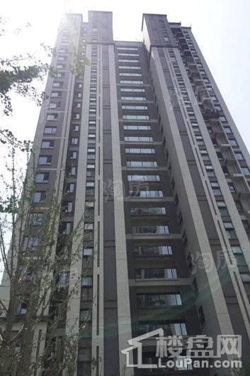 永威南樾实景图