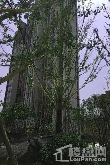 永威南樾实景图
