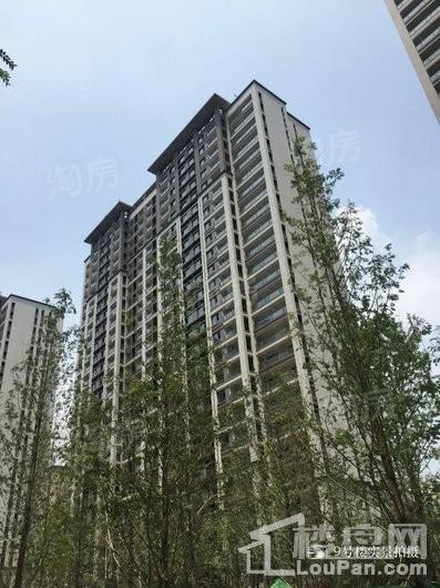 永威南樾实景图