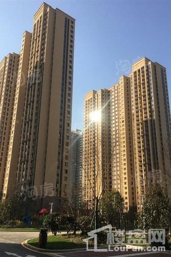 实景图