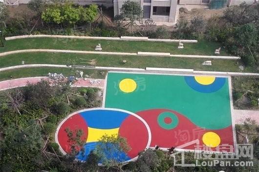 实景图