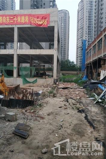 城果实景图