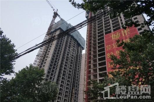 城果实景图