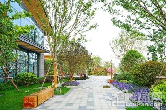 永威森林花语实景图