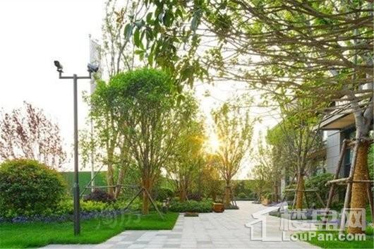 永威森林花语实景图