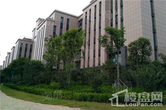 河南外包产业园实景图