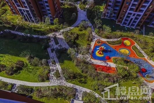实景图