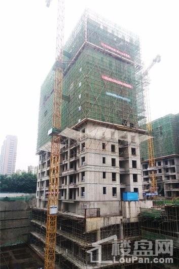 绿都紫荆华庭实景图