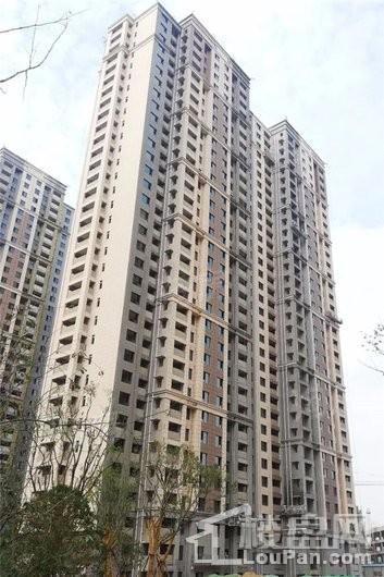 绿都紫荆华庭实景图
