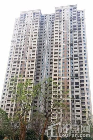 绿都紫荆华庭实景图
