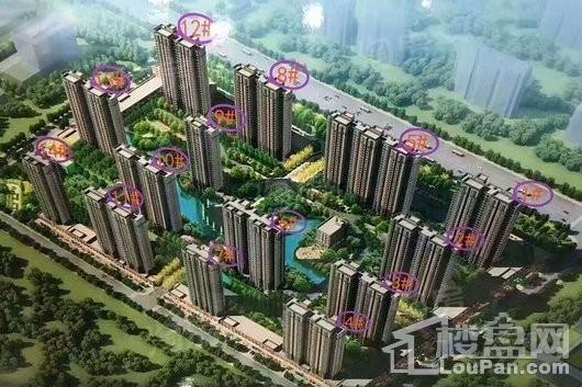 效果图