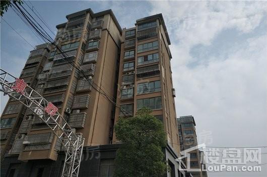 磊鑫尚东郡实景图