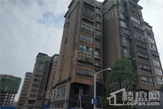 磊鑫尚东郡实景图