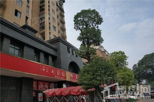 磊鑫尚东郡实景图