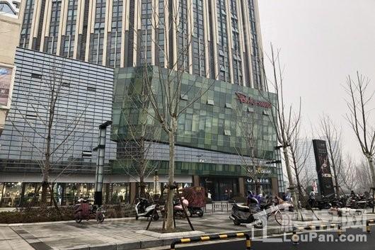 朗悦公园茂实景图