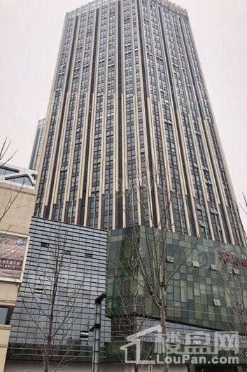 朗悦公园茂实景图
