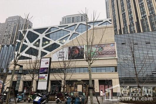 朗悦公园茂实景图