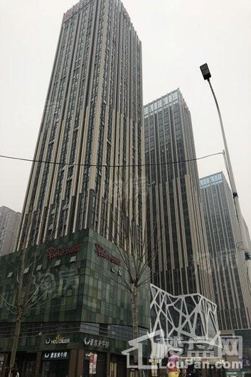 朗悦公园茂实景图