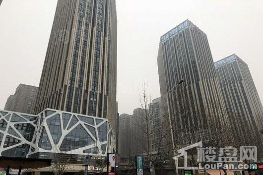 朗悦公园茂实景图