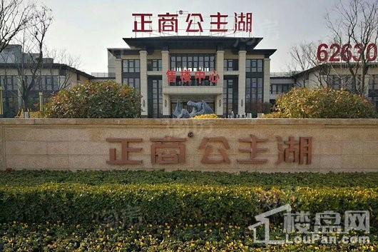 正商公主湖实景图