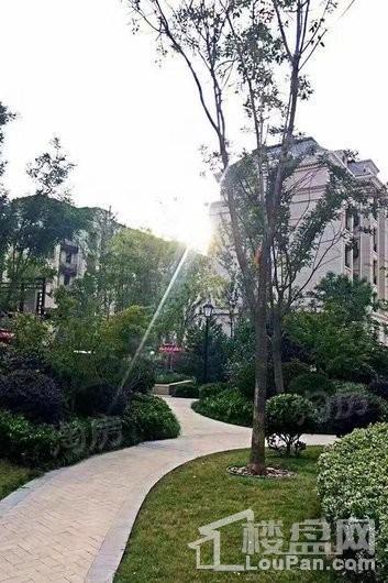 民安城市之光实景图