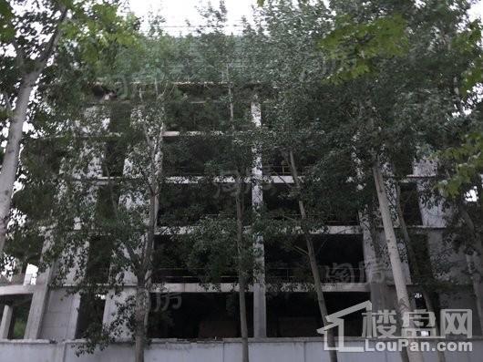 创新广场实景图