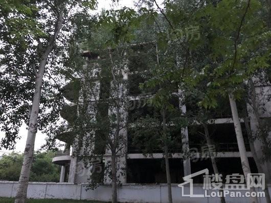 创新广场实景图