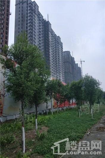壹号公馆实景图