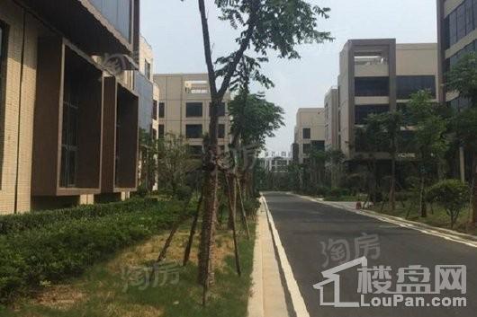 同赢企业总部港实景图