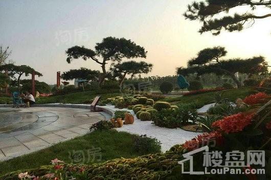 碧桂园翡翠湾实景图