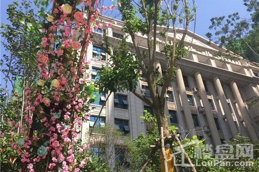 九龙新城实景图