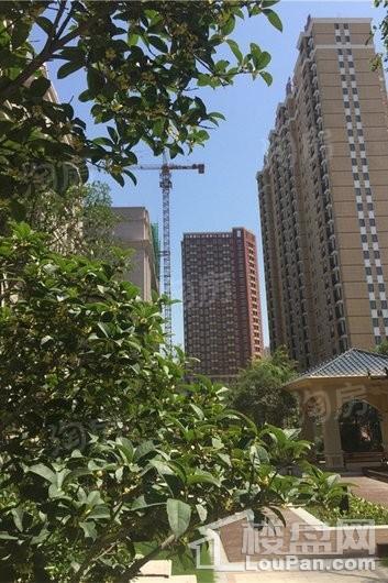 九龙新城实景图