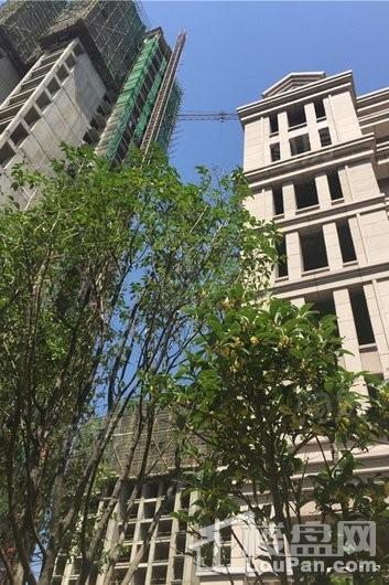 九龙新城实景图