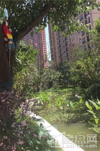 九龙新城实景图