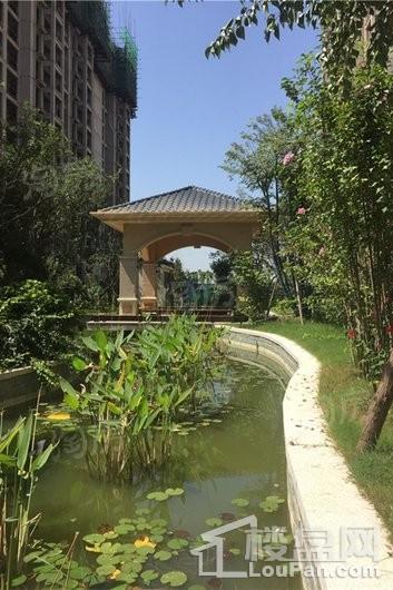 九龙新城实景图