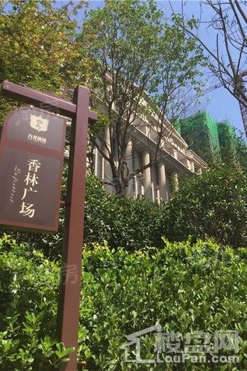 九龙新城实景图