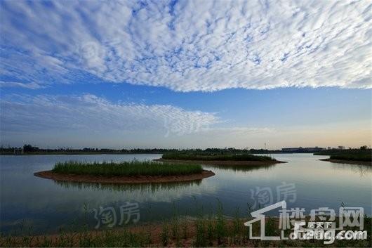 蓝城桃源春晓配套图