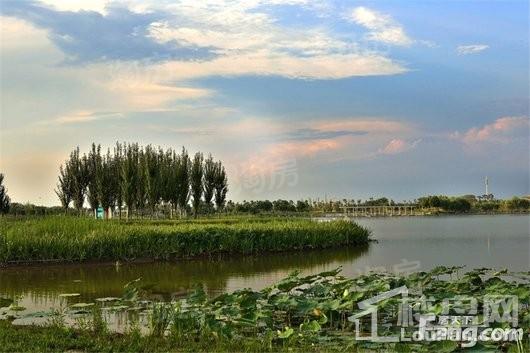 蓝城桃源春晓配套图