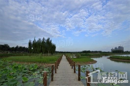 蓝城桃源春晓配套图