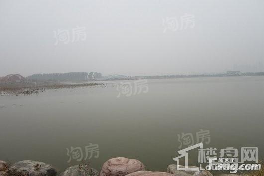蓝城桃源春晓配套图