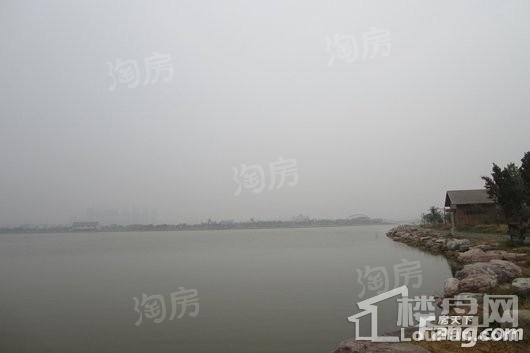 蓝城桃源春晓配套图