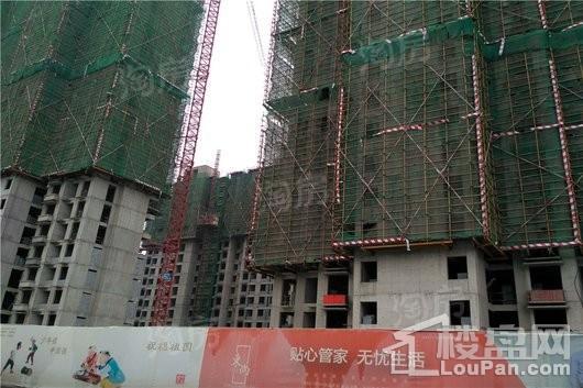 鼎天東尚实景图