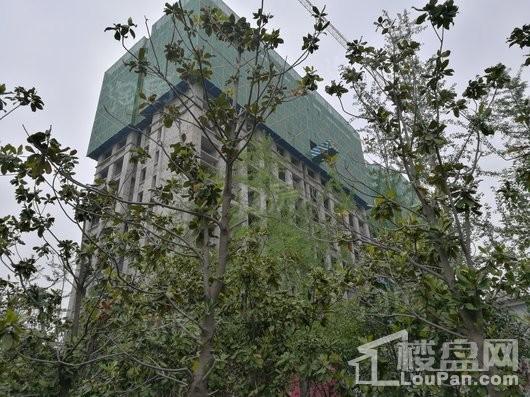 阳光城丽景公馆实景图