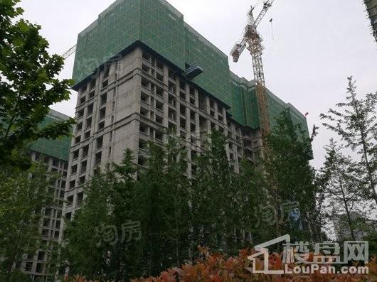 阳光城丽景公馆实景图
