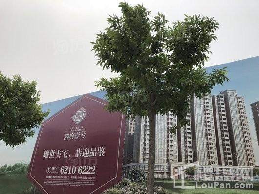 鸿府壹号实景图