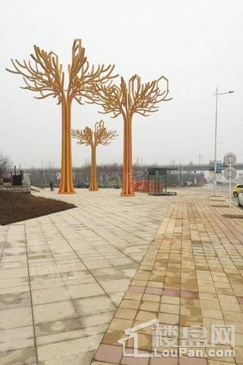 实景图