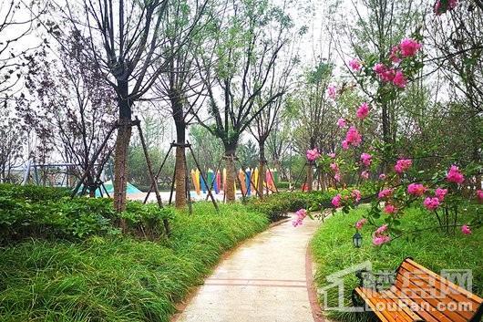 锦艺四季城实景图