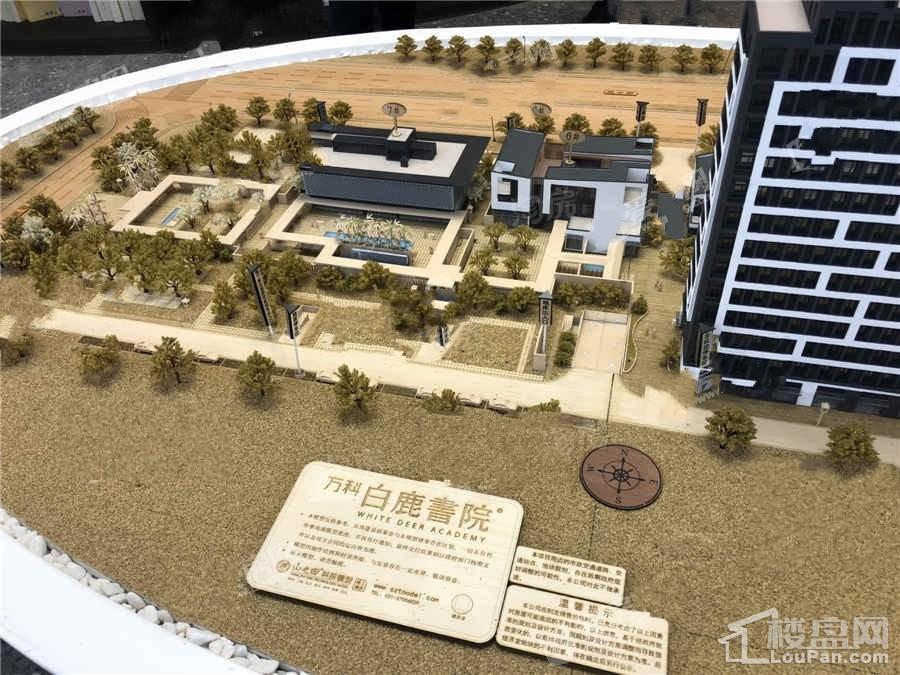 万科白鹿书院效果图